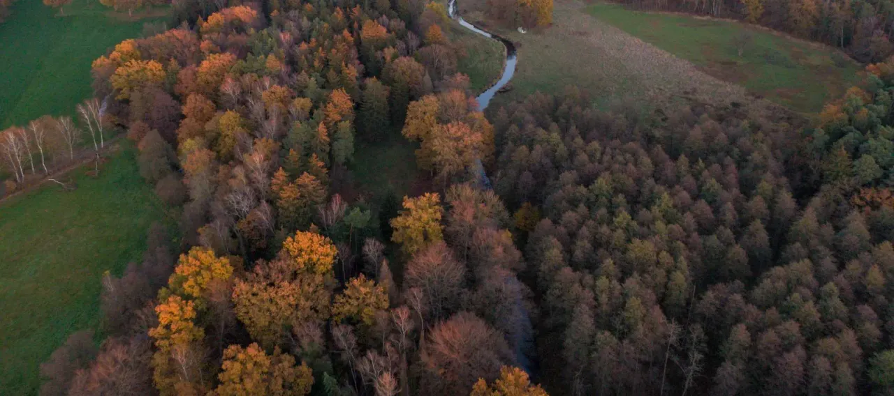 Contact Luke Just - Central Vermont Real Estate Agent serving Montpelier, Stowe, and Burlington